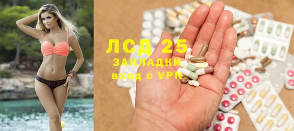 PSILOCYBIN Белоозёрский