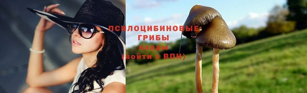кокс Богданович
