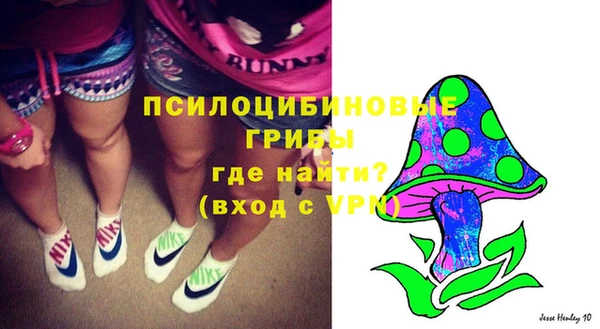 PSILOCYBIN Белоозёрский