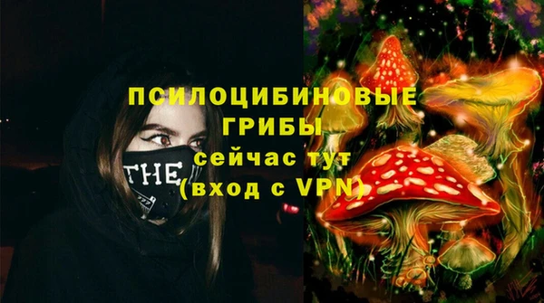 эйфоретик Белокуриха